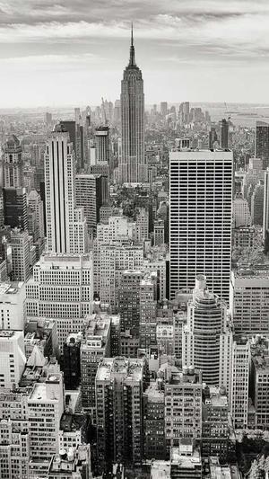 蘑菇视频1.3.4.免费版截图3