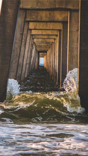 色天堂下载最新版下载截图4
