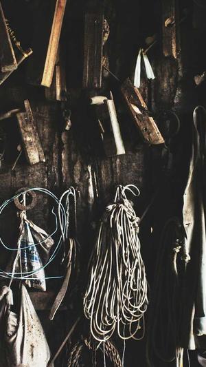 星空无限传媒官网免费下载截图5